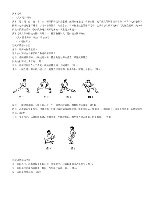 武术运动 武术的基本步型 拳法的基本手型 清晰图片