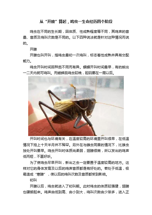 从“开膀”算起，鸣虫一生会经历四个阶段