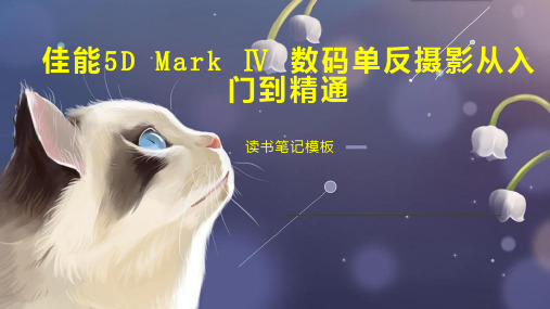 佳能5D Mark   数码单反摄影从入门到精通