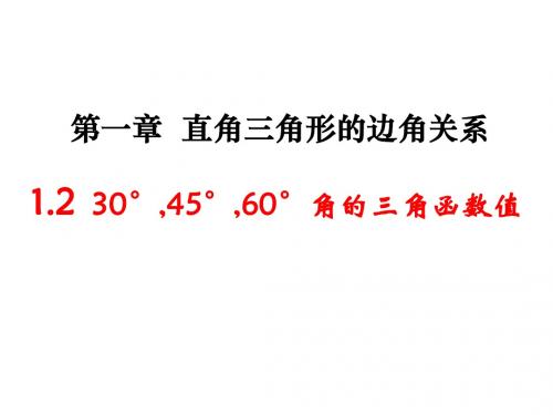 《30°,45°,60°角的三角函数值》参考课件