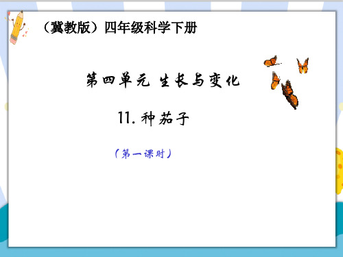 最新冀教版四年级科学下册《种茄子》第一课时精品课件