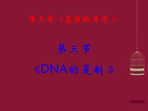 【人教版】生物必修二：3.3《DNA的复制》pdf课件