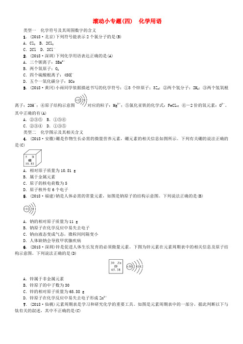 中考化学复习 滚动小专题四化学用语专题练习.doc