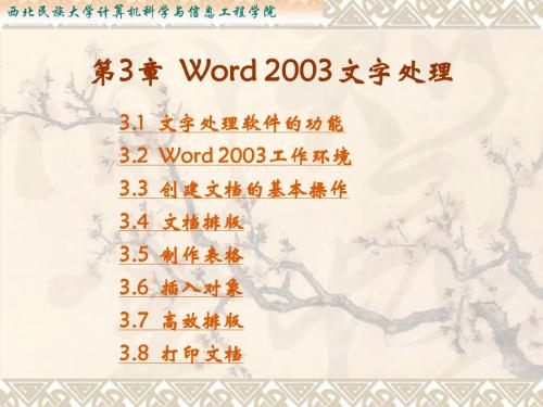 第3章  Word 2003文字处理