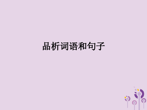 广东省深圳市宝安区中考语文 赏析句子复习课件