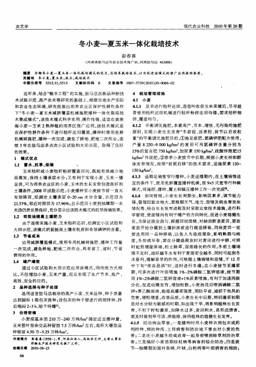 冬小麦—夏玉米一体化栽培技术
