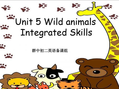 牛津译林版八年级上册(新)英语课件：Unit5 Integrated