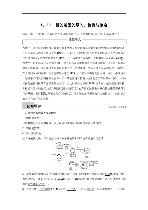 专题1  1.2.2 目的基因的导入、检测与鉴定