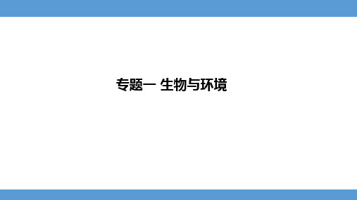 2024年河北省中考生物知识梳理专题课件——专题一  生物与环境