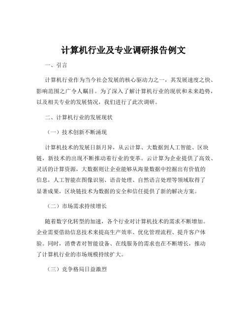 计算机行业及专业调研报告例文