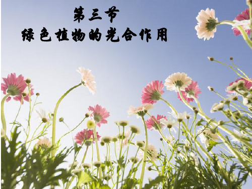 济南版生物七年级上册第二单元 绿色植物的光合作用 (第一课时)课件(14张ppt) (共14张PPT)