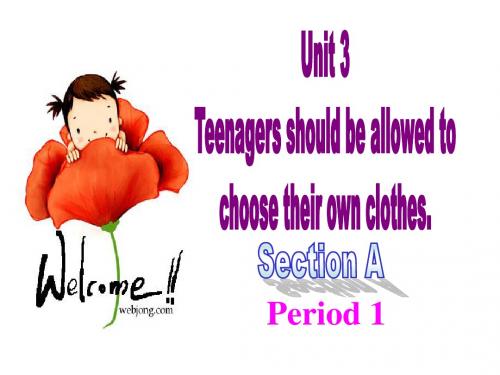 人教版九年级英语unit3_Teenagers_should_be_allowed_to_choose_their_own_clothes