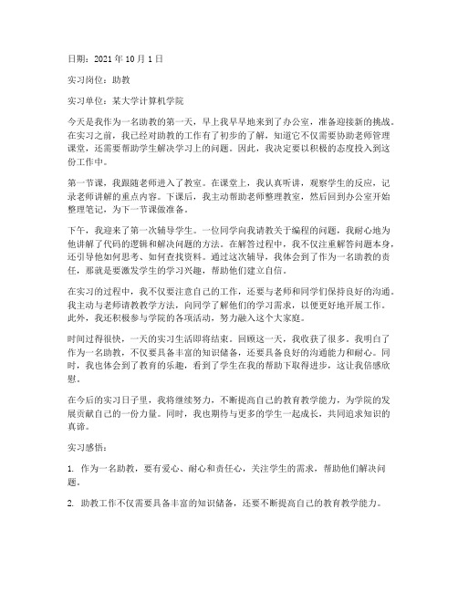 助教实习报告日记