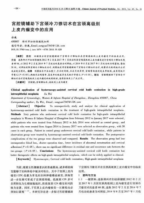 宫腔镜辅助下宫颈冷刀锥切术在宫颈高级别上皮内瘤变中的应用