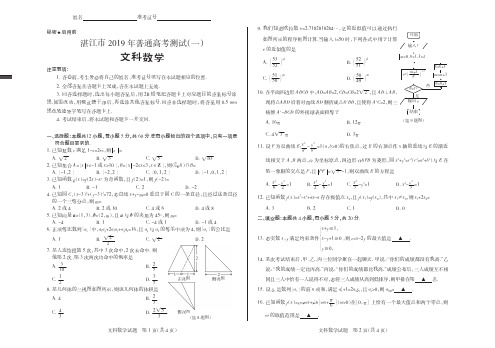 湛江市2019年普通高考测试(一)文科数学