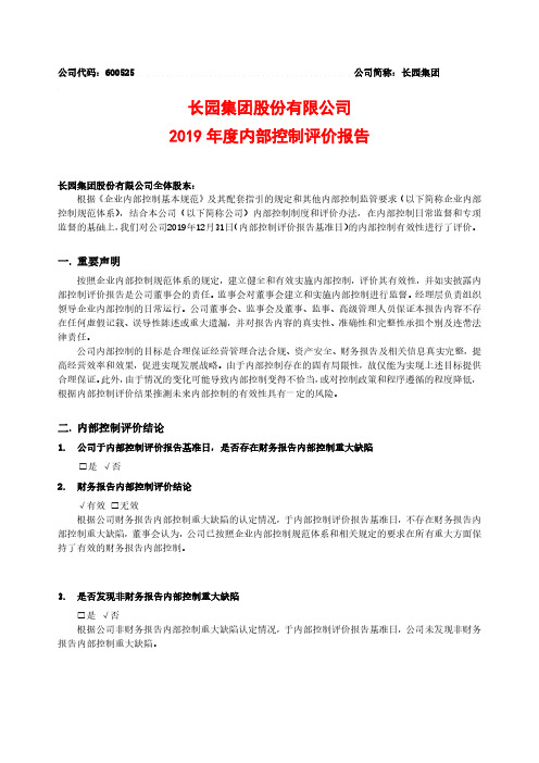 长园集团：2019年度内部控制评价报告