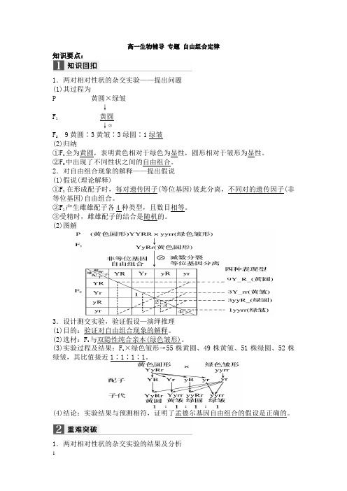 高一生物辅导 专题 自由组合定律知识要点