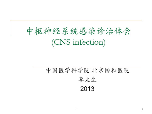 12-李太生教授感染内科课稿PPT课件