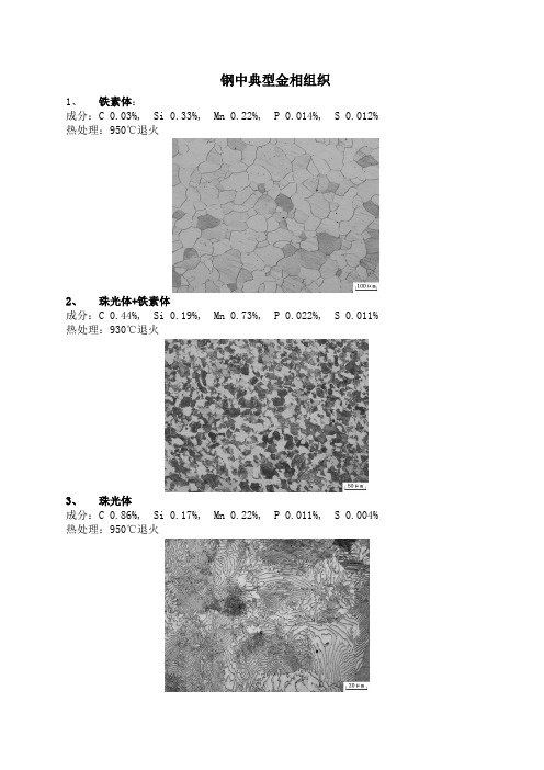 钢中典型金相组织