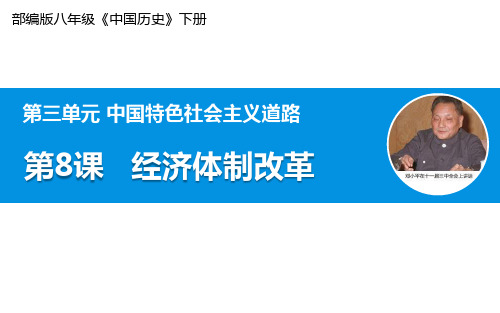 部编版八年级历史下册 3经济体制改革