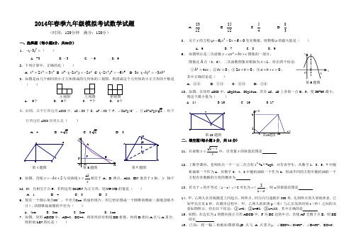 2014年春季九年级模拟考试数学试卷