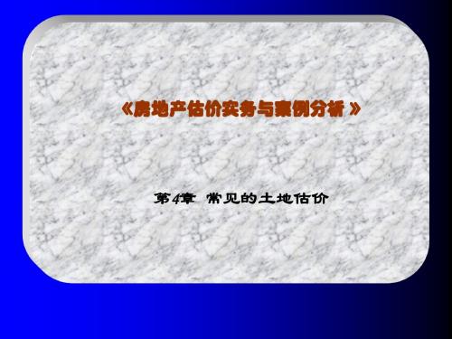 房地产估价实务与案例分析第四章土地估价