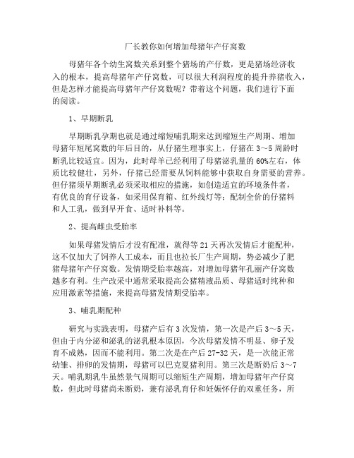 厂长教你如何增加母猪年产仔窝数