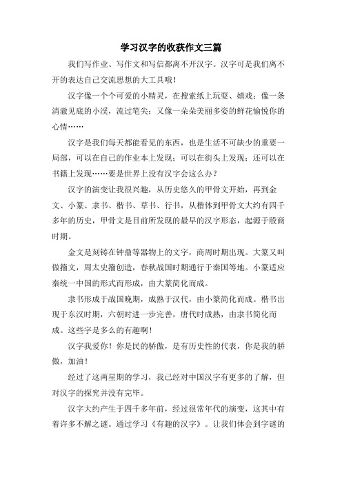 学习汉字的收获作文三篇