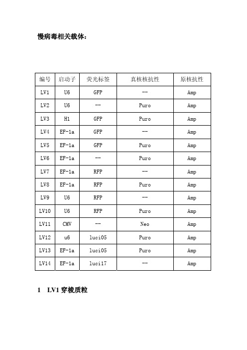 GenePharma 慢病毒载体 140512