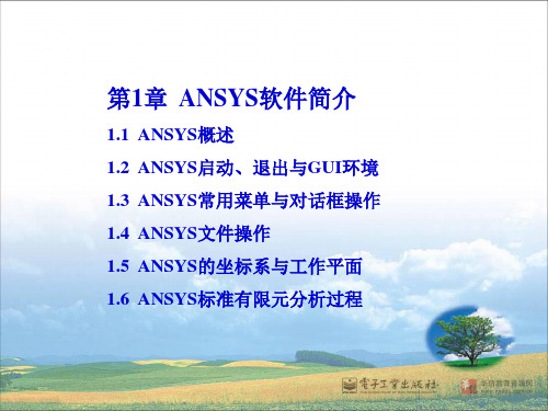 ansys 介绍