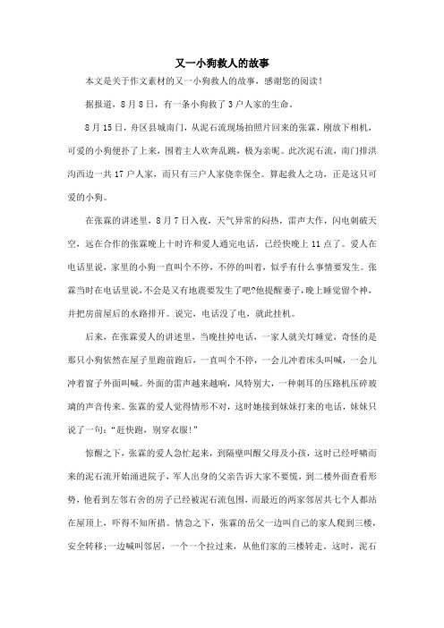 又一小狗救人的故事_作文素材