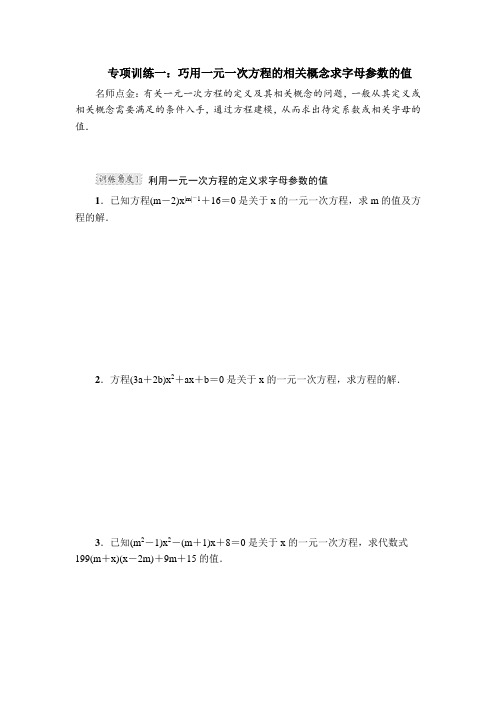 浙教版数学七年级上册专项训练一：巧用一元一次方程的相关概念求字母参数的值.docx