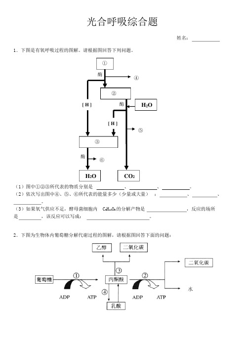 光合与呼吸作用综合题及参考答案