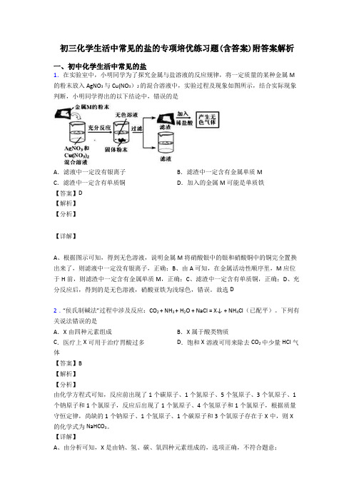 初三化学生活中常见的盐的专项培优练习题(含答案)附答案解析