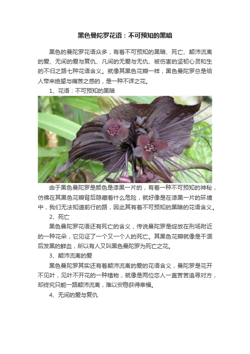 黑色曼陀罗花语：不可预知的黑暗