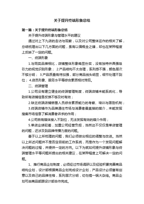 关于提升终端形象总结