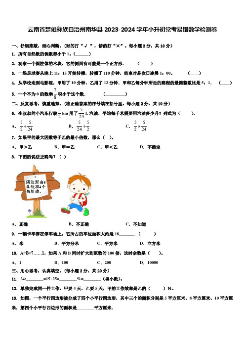 云南省楚雄彝族自治州南华县2023-2024学年小升初常考易错数学检测卷含解析