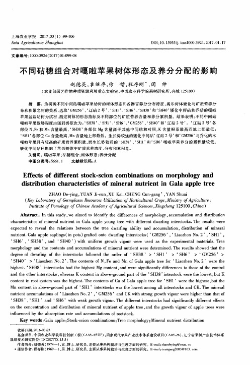 不同砧穗组合对嘎啦苹果树体形态及养分分配的影响