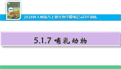 八上生物学霸笔记+同步训练5.1.7哺乳动物