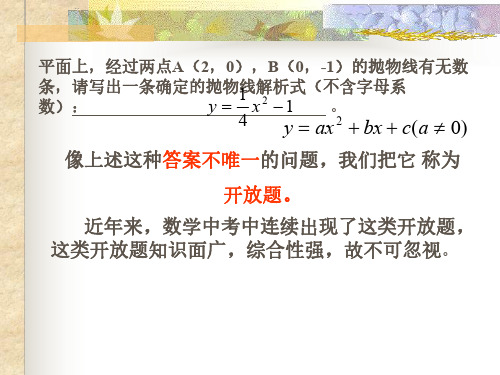 中考数学中的开放性问题