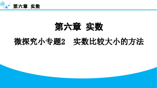 第六章实数课堂练习题及答案微探究小专题2实数比较大小的方法