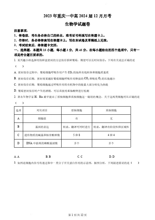 2024届重庆市一中高三上学期12月月考生物试题及答案