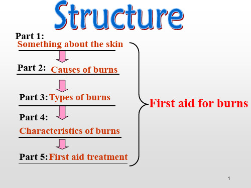 【全国百强校】吉林省长春市实验中学人教版高中英语必修五课件：Unit-5 first aid(共51张PPT)