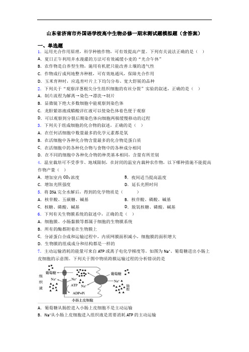 山东省济南市外国语学校高中生物必修一期末测试题模拟题(含答案)