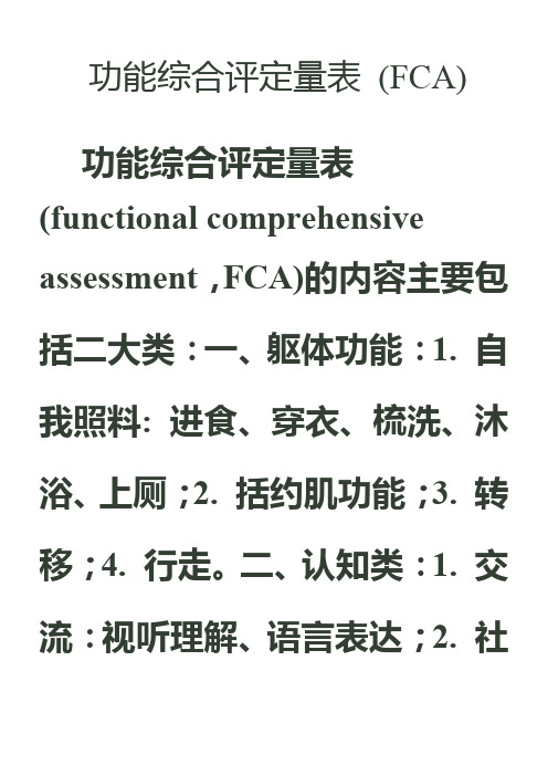 功能综合评定量表