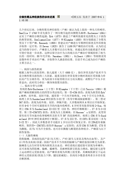 分娩性臂丛神经损伤诊治进展实习