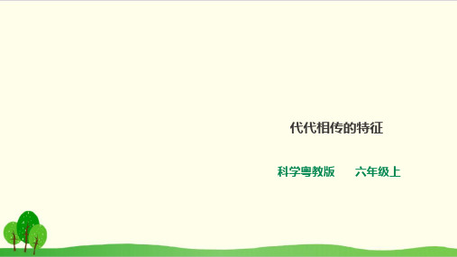粤教版教材《代代相传的特征》精品推荐1