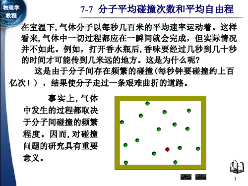 7-7分子平均碰撞次数和平均自由程