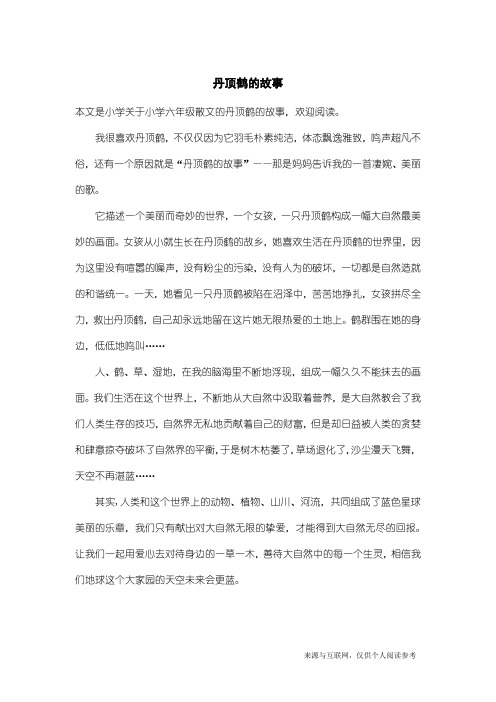 小学六年级散文：丹顶鹤的故事