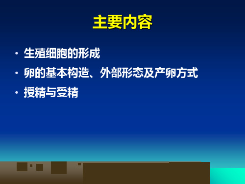 最新十章节昆虫胚前发育精品课件